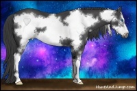 Horse Color:Smoky Black Sabino Frame 