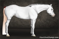 Horse Color:Buckskin Roan Dun Frame Varnish