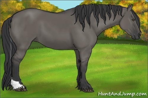 Horse Color:Grullo Tobiano