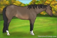 Horse Color:Brown Dun