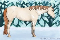Horse Color:White Spotted Sable Cream Champagne Pearl
