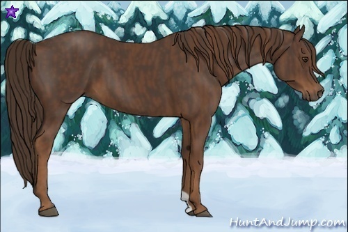 Horse Color:Liver Chestnut Brindle