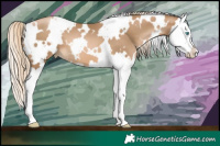 Horse Color:White Spotted Chocolate Palomino Pearl Splash