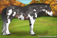 Horse Color:Brown Splash Frame 