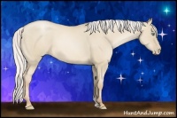 Horse Color:Silver Smoky Grullo Pearl 