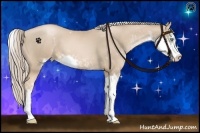 Horse Color:Chocolate Palomino Pearl Sabino
