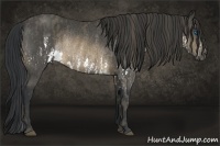 Horse Color:Brown Splash Rabicano Brindle