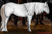 Horse Color:Bay Mushroom Splash Tobiano Blanket  Brindle