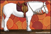 Horse Color:Bay Splash Tobiano Blanket  Brindle
