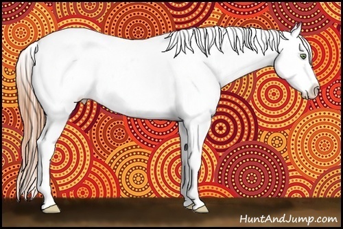Horse Color:Amber Champagne Appaloosa  Brindle