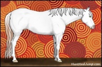Horse Color:Amber Champagne Appaloosa Brindle
