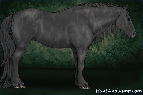 Horse Color:Black Brindle