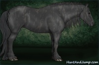 Horse Color:Black  Brindle