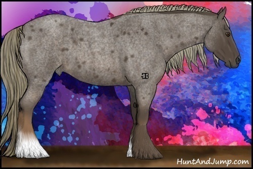 Horse Color:Liver Red Roan 