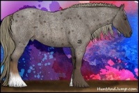 Horse Color:Liver Red Roan 