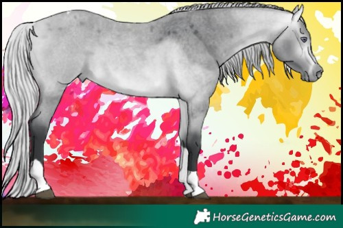 Horse Color:Silver Bay Chinchilla Roan Tobiano 