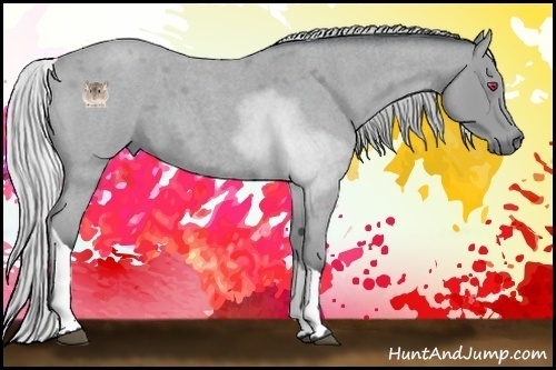 Horse Color:Silver Bay Chinchilla Roan Tobiano 