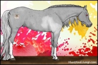 Horse Color:Silver Bay Chinchilla Roan Tobiano 