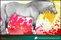 Horse Color:Silver Bay Chinchilla Roan Tobiano 