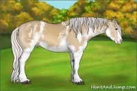 Horse Color:White Spotted Silver Bay Dun Splash
