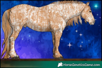 Horse Color:Liver Chestnut Sabino Appaloosa Rabicano  Brindle