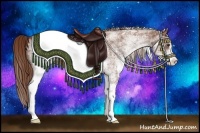 Horse Color:White Spotted Chestnut Sabino