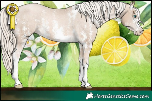 Horse Color:Chocolate Palomino Pearl Sabino Varnish Rabicano Brindle