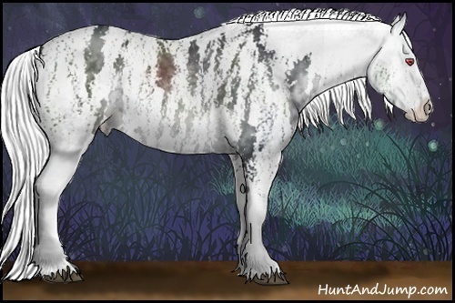 Horse Color:White Spotted Silver Black Chinchilla Appaloosa Rabicano  Brindle