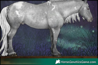 Horse Color:White Spotted Silver Black Chinchilla Varnish Rabicano  Brindle