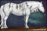 Horse Color:White Spotted Silver Black Chinchilla Appaloosa Rabicano Brindle