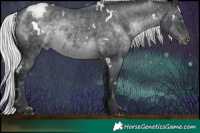 Horse Color:White Spotted Silver Black Chinchilla Varnish Rabicano Brindle