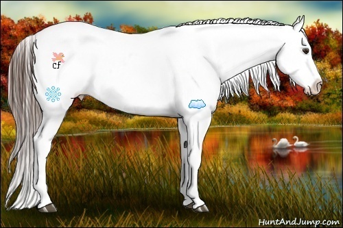 Horse Color:Liver Chestnut Sabino Snowflake VarnishRabicano Brindle