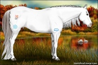 Horse Color:Liver Chestnut Sabino Snowflake VarnishRabicano Brindle