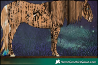 Horse Color:ERROR: UNKNOWN ANOMALY Brindle