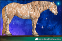 Horse Color:Chocolate Palomino Pearl Sabino Varnish Rabicano Brindle