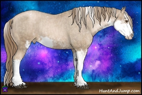 Horse Color:Liver Chestnut Pearl Sabino Appaloosa Rabicano  Brindle