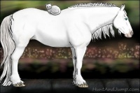 Horse Color:Chocolate Palomino Pearl Sabino Varnish Rabicano  Brindle