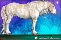 Horse Color:Chocolate Palomino Pearl Sabino Appaloosa Rabicano  Brindle