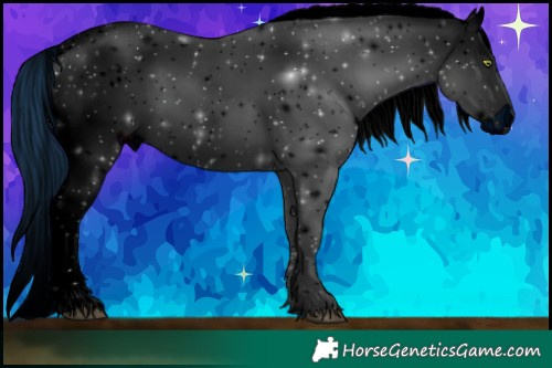 Horse Color:ERROR: UNKNOWN ANOMALY Brindle