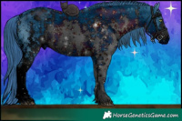 Horse Color:ERROR: UNKNOWN ANOMALY Brindle