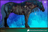 Horse Color:ERROR: UNKNOWN ANOMALY Brindle