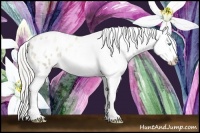 Horse Color:Chocolate Palomino Ice Pearl Sabino Appaloosa Rabicano  Brindle