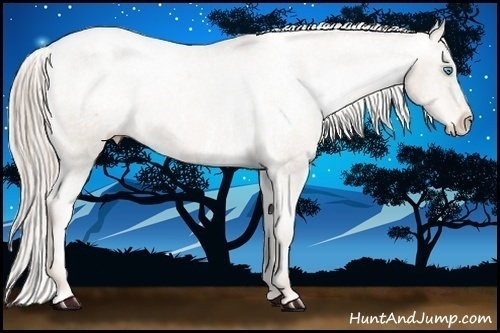 Horse Color:Chocolate Palomino Pearl Sabino Appaloosa Rabicano  Brindle