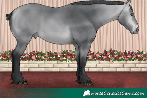 Horse Color:Brown Chinchilla Brindle