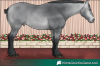 Horse Color:Brown Chinchilla Brindle