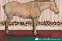 Horse Color:Brown Chinchilla  Brindle