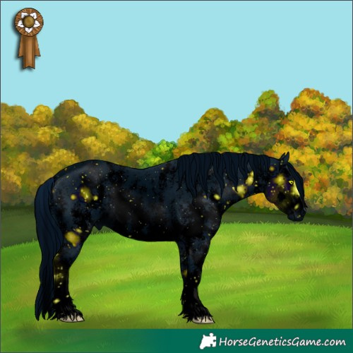 Horse Color:ERROR: UNKNOWN ANOMALY Brindle