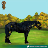 Horse Color:ERROR: UNKNOWN ANOMALY Brindle