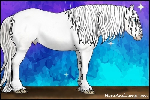 Horse Color:Chocolate Palomino Pearl Mushroom Sabino Varnish Rabicano Brindle