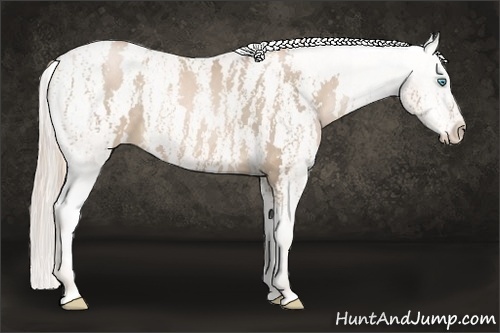 Horse Color:Chocolate Palomino Pearl Sabino Varnish Rabicano  Brindle